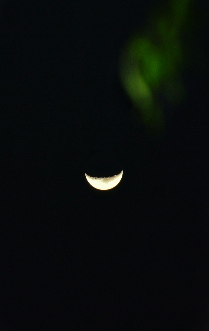 winter moon