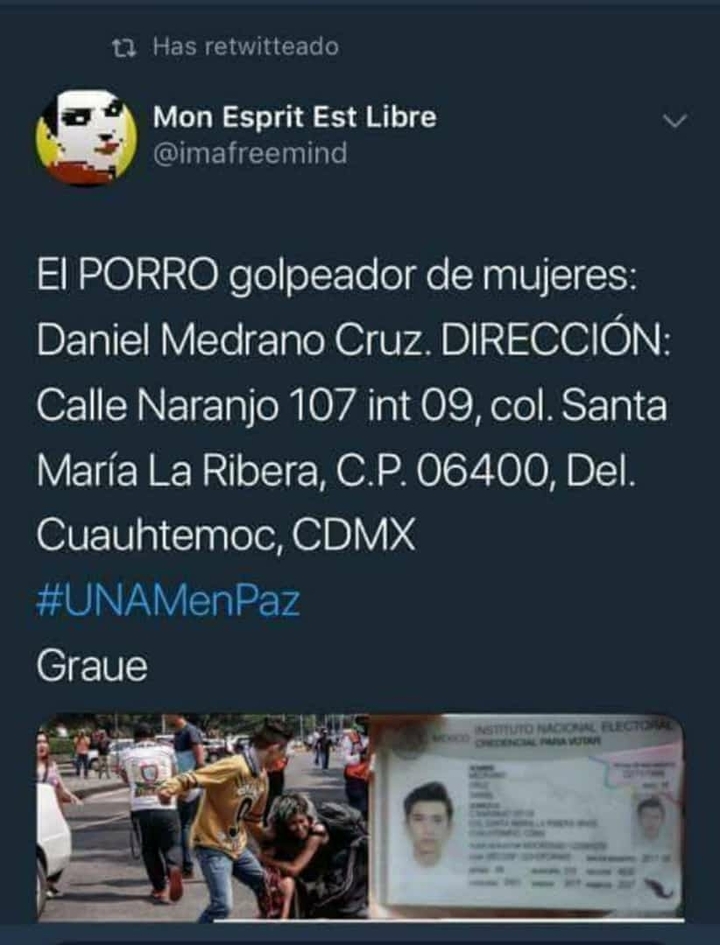 perro