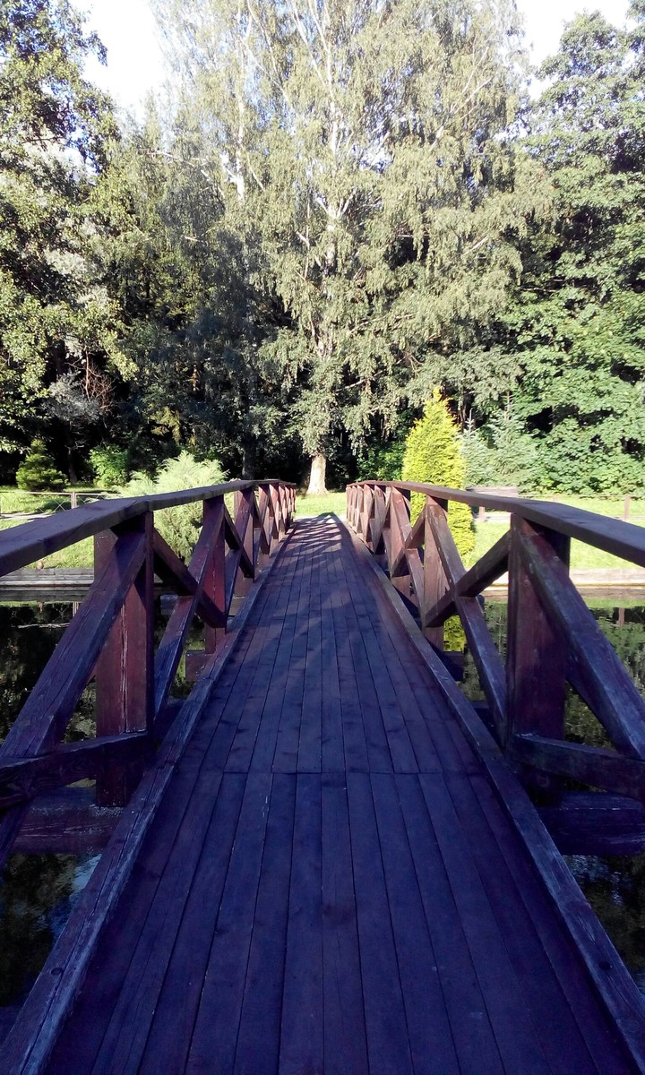 on the bridge