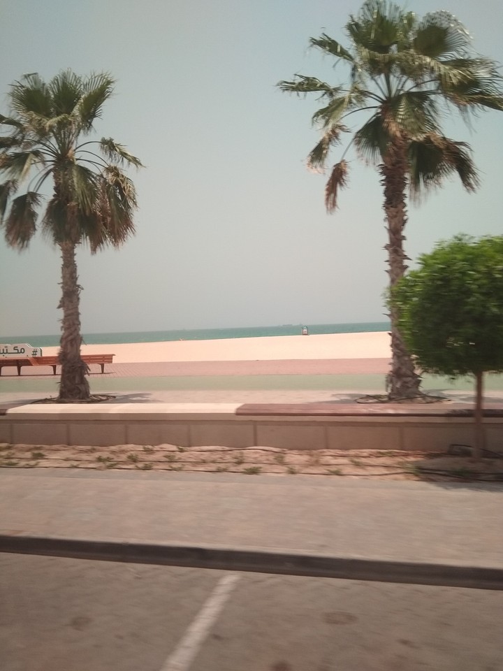The beach