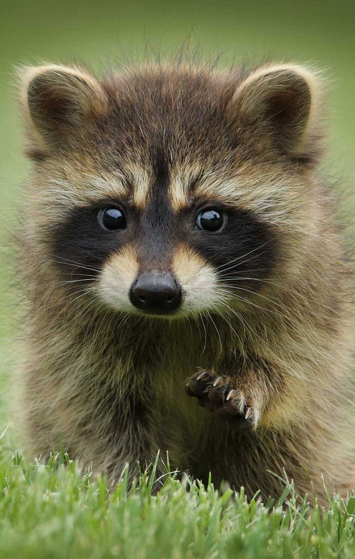 cute