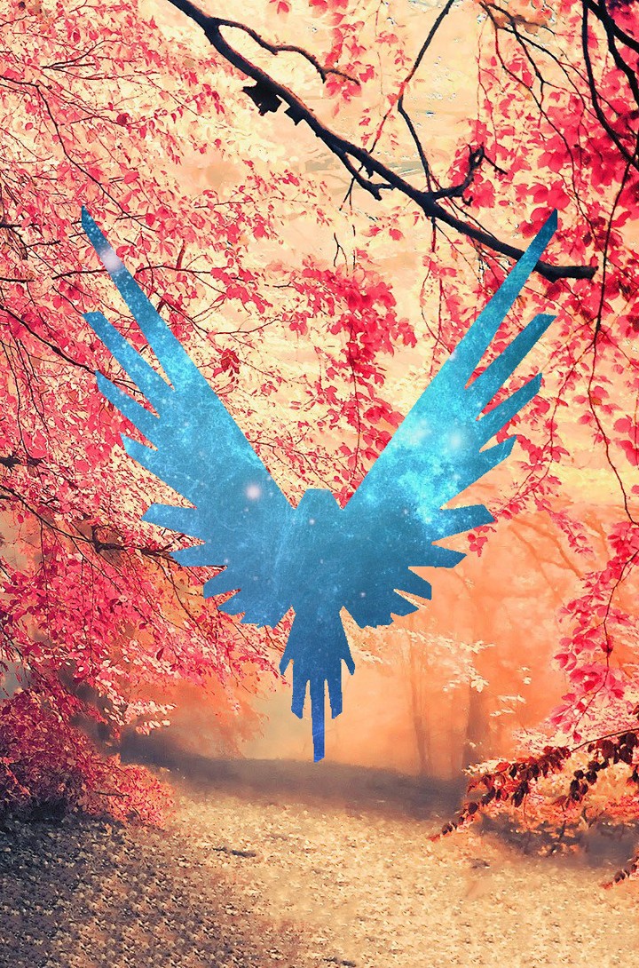 maverick