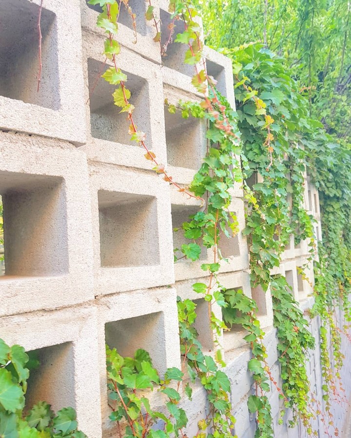 갬성