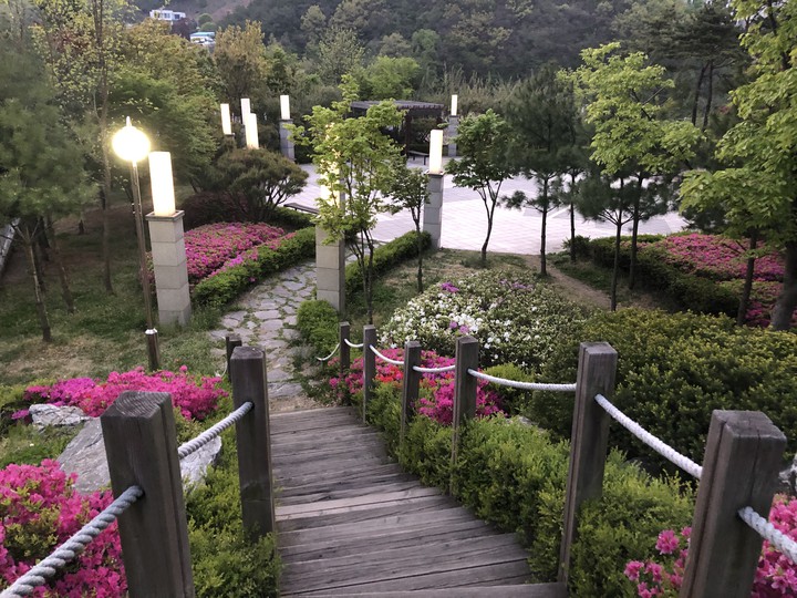 산책길