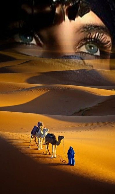 sfondi dromedary, erg