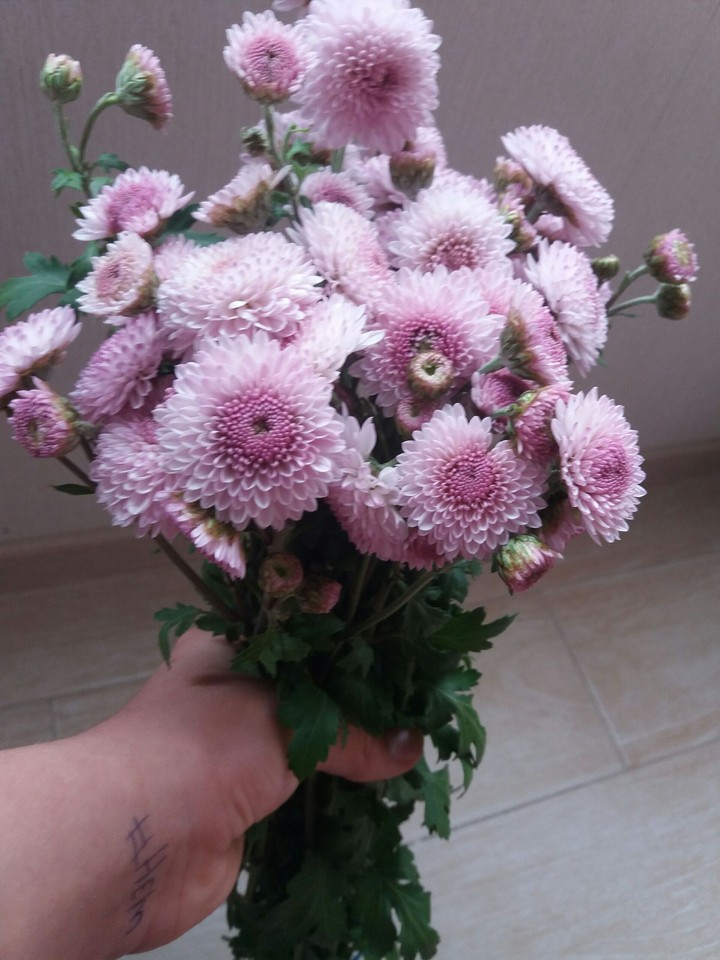 Цветочки