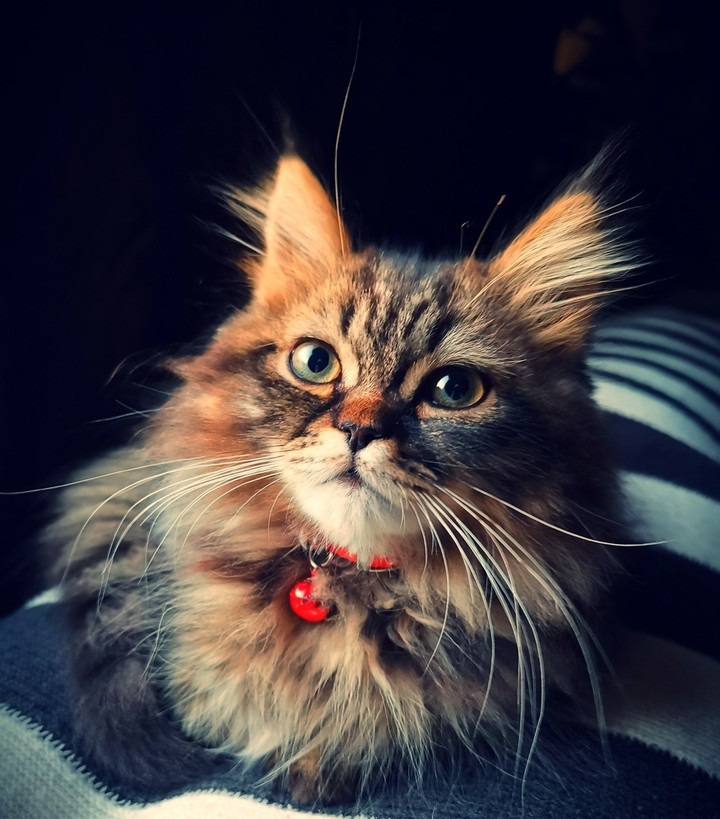 luo:-D