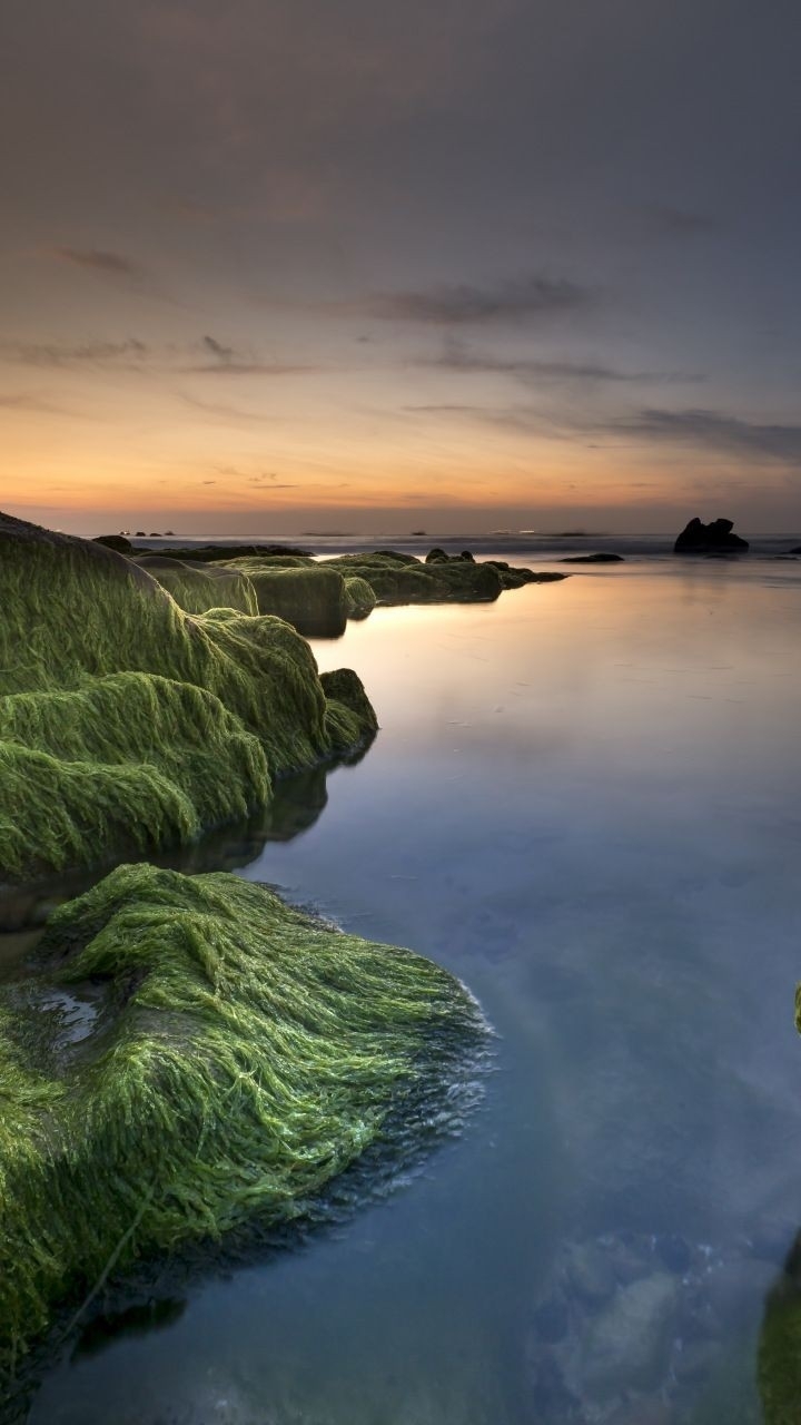 Nature. Sunset