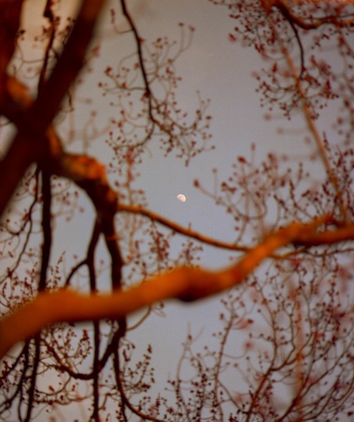 moon