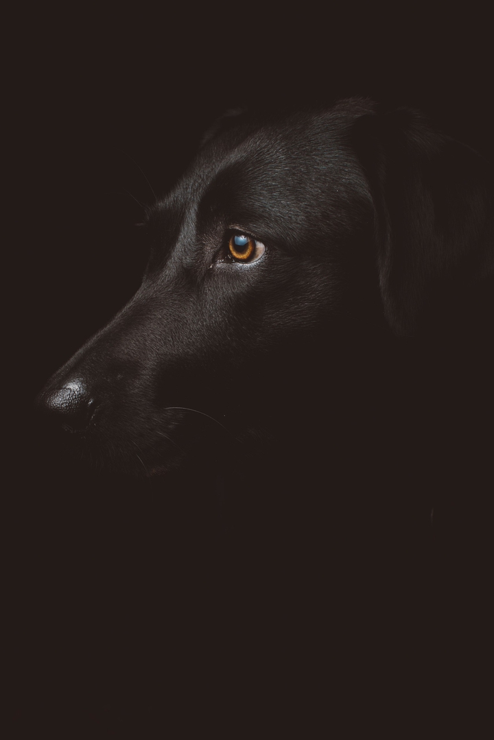 black