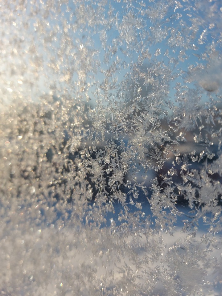 snowflakes ❄️