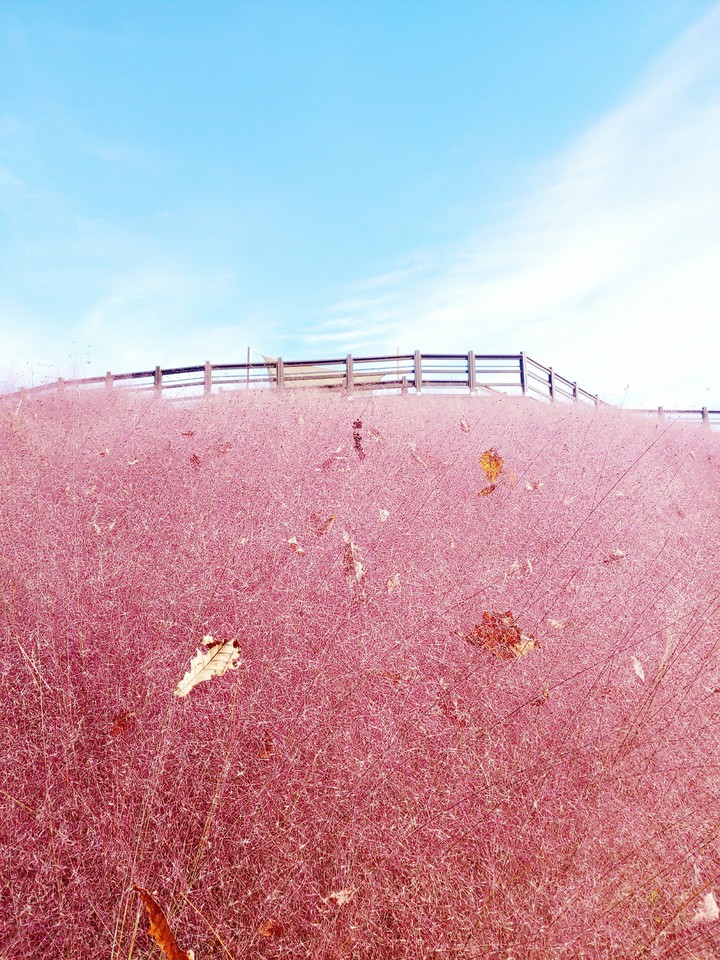 pink