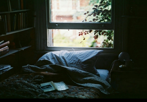 Window