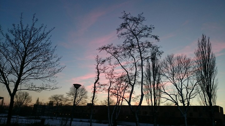 Netherland Sunset