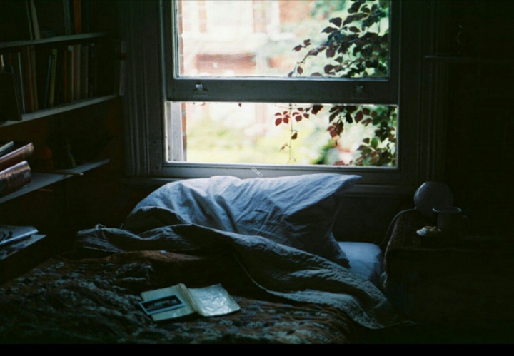 Window