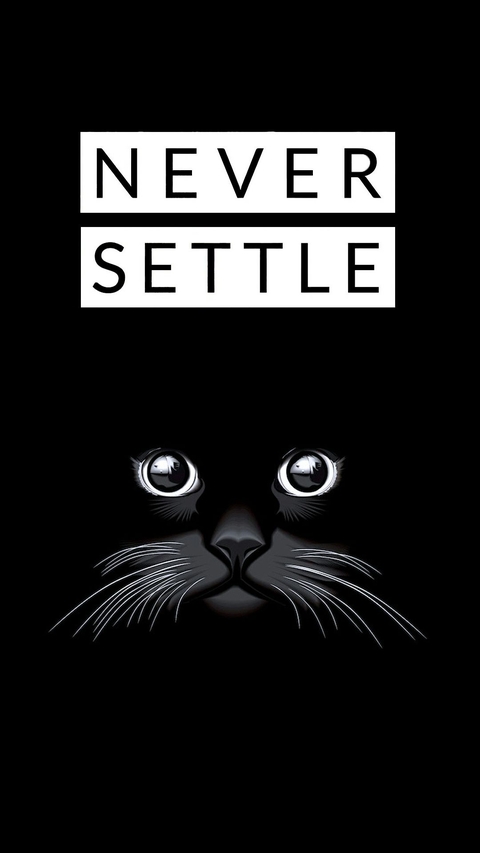 Never Settle