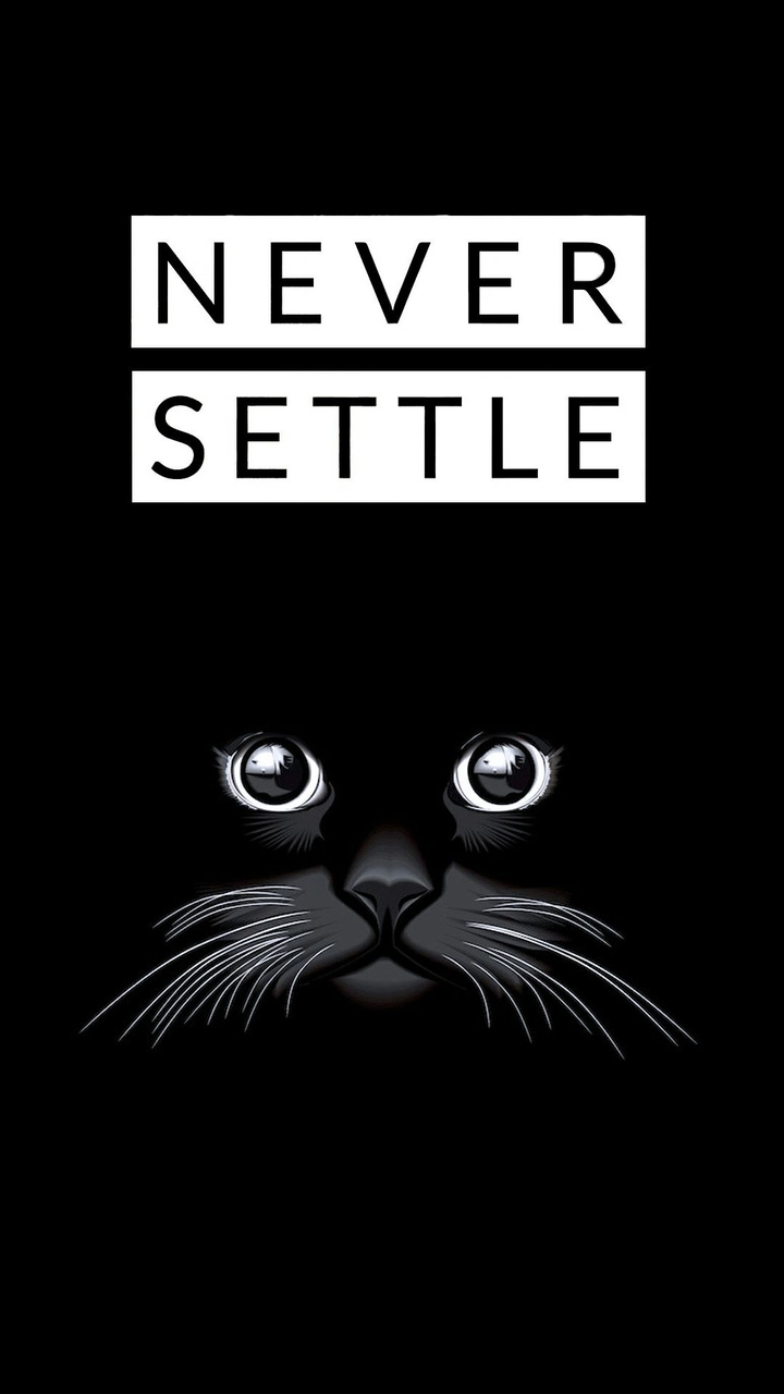 Never Settle