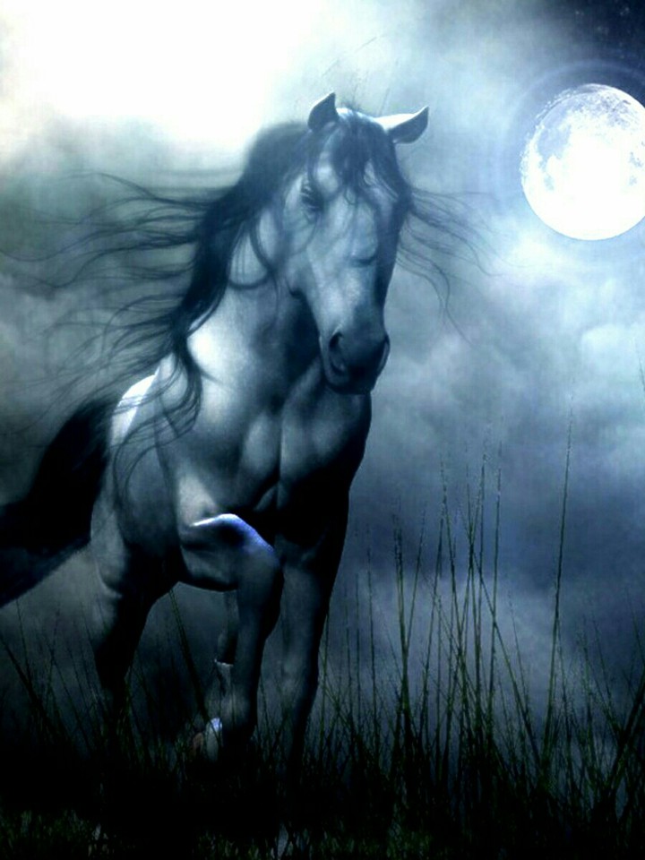 horse