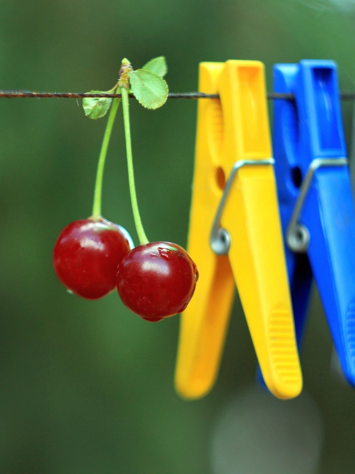 Yellow pin and red cherry