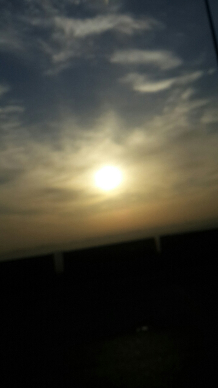 The sun