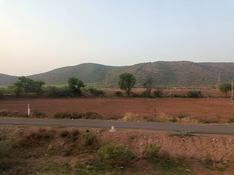 wallpaper landscapes, plant