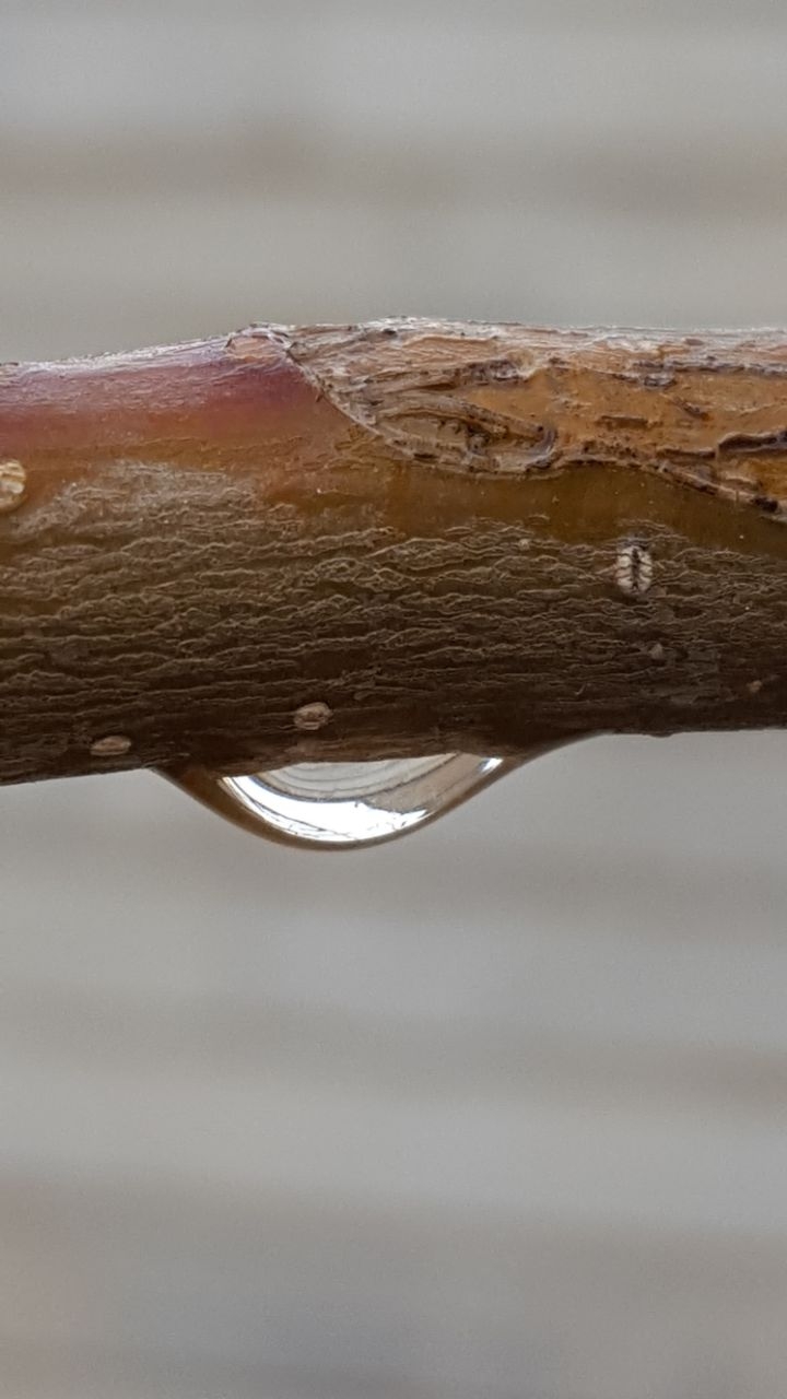 After rain