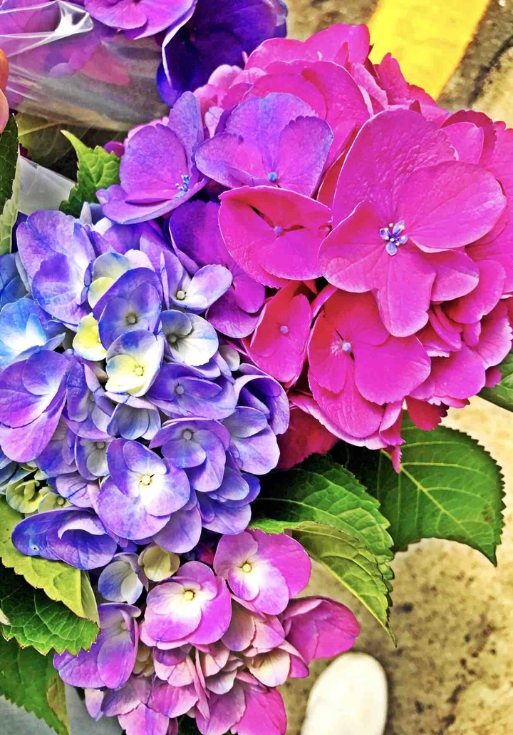 Present for you