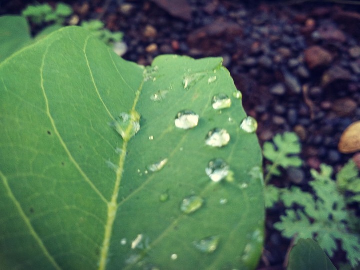 raining