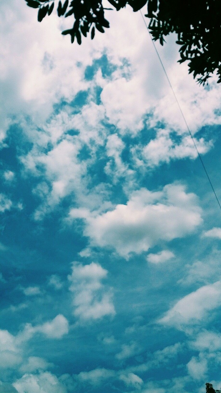 wallpaper