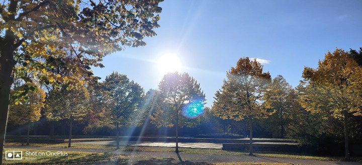 Hier kommt die Sonne