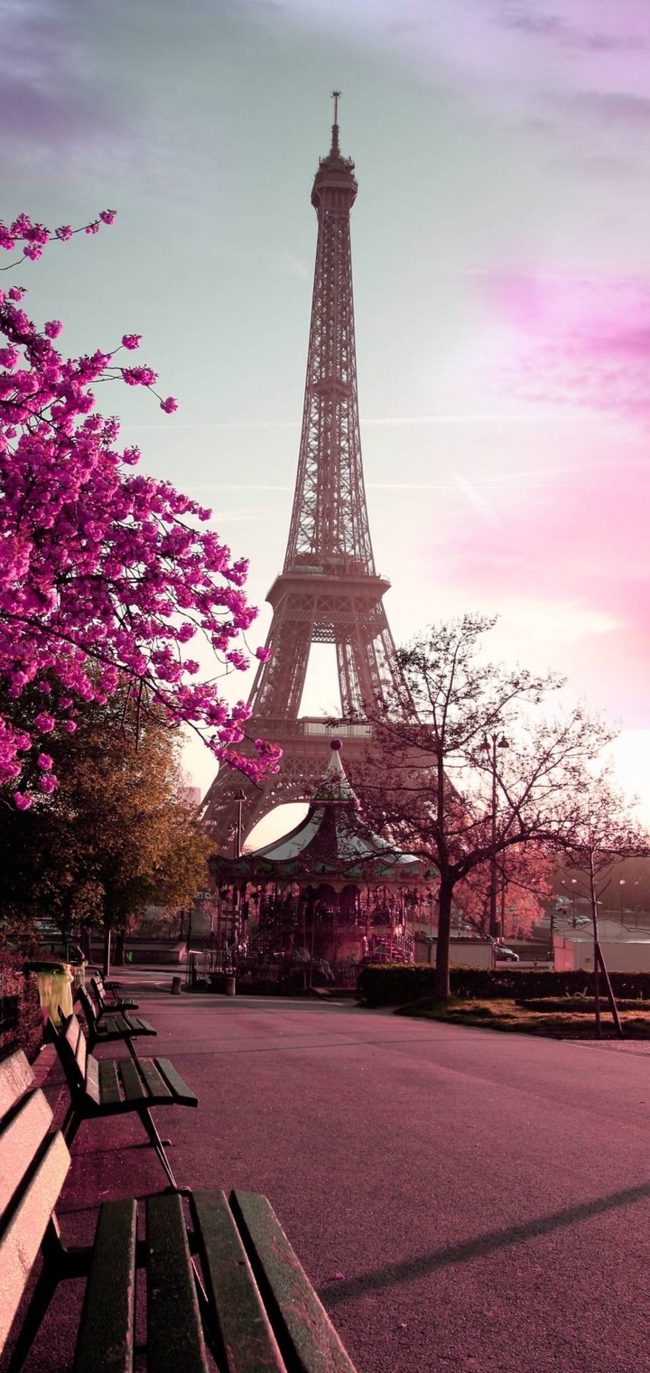 " Take me to Paris "