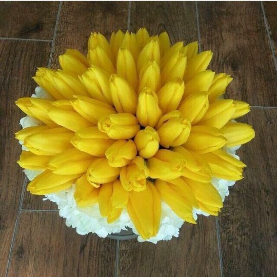yellow flowers