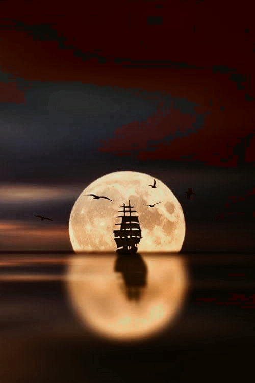shadow night