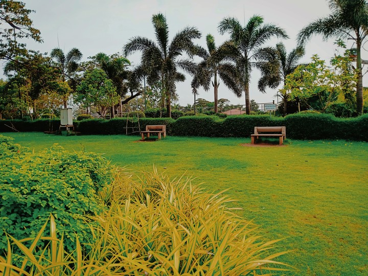 park