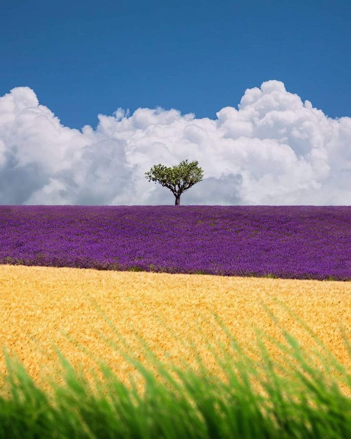 Amazing world