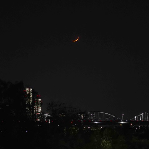 도시의 밤