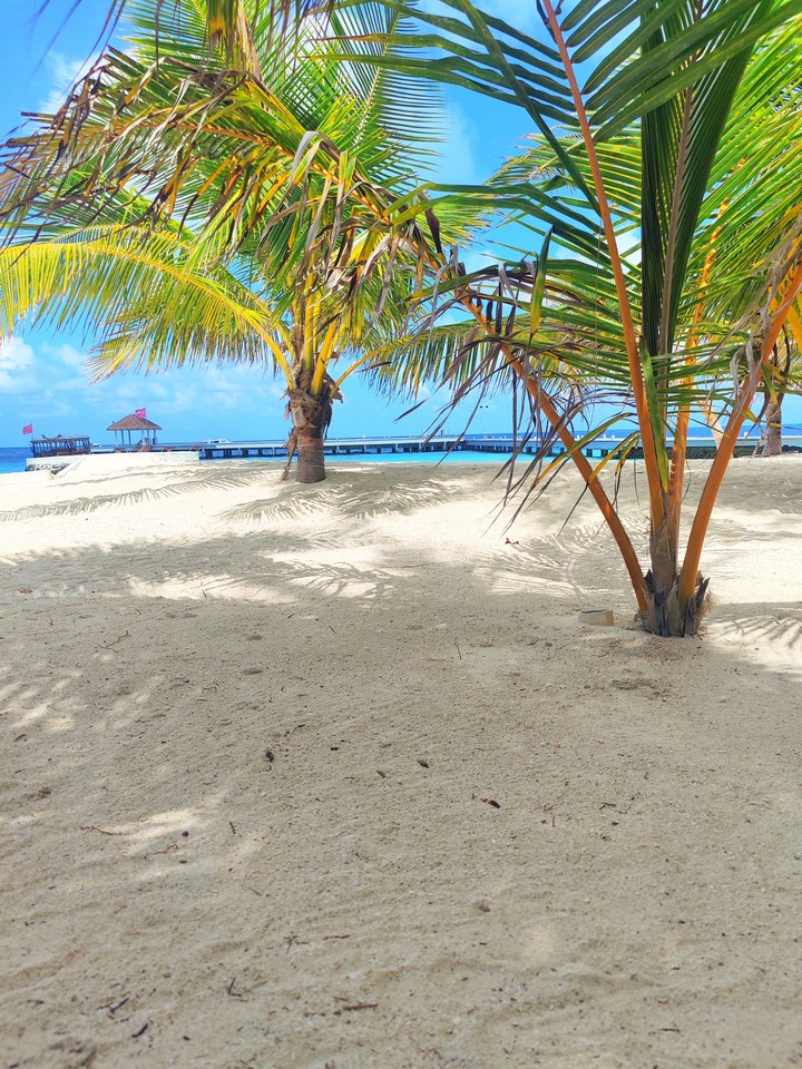 island view