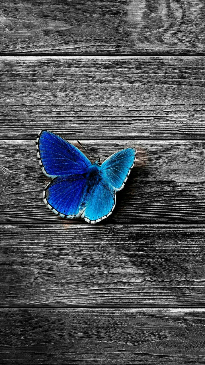 Beautiful