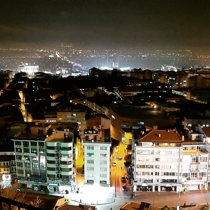 bursa