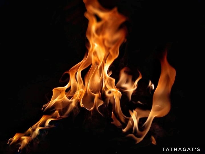 The Bonfire