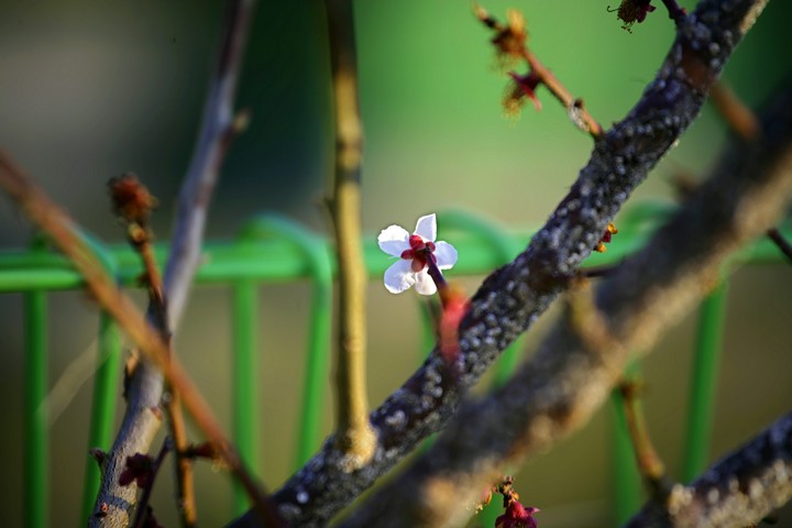 수줍게 돌아서다