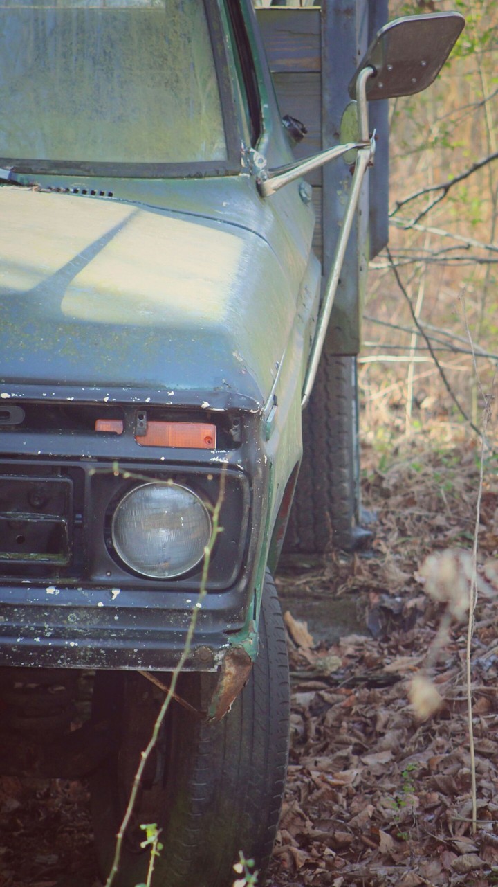 Vintage Ford