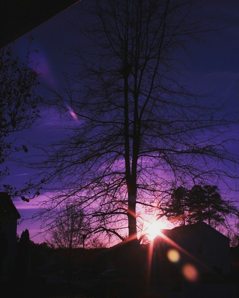 sunset