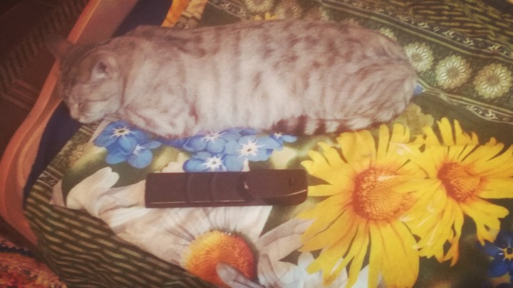 оч похожи =|