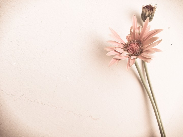 Delicate