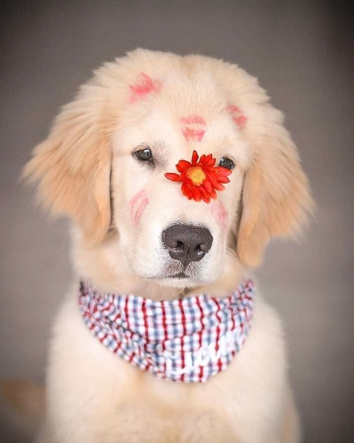 so cute ♥♥♥