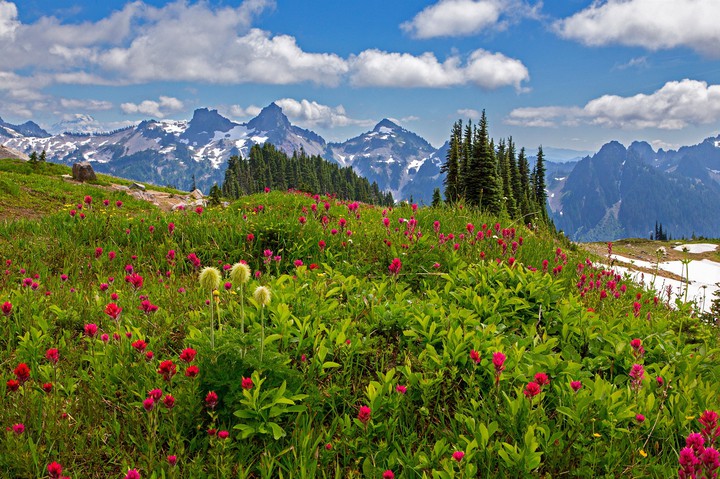 Nature's Beauty