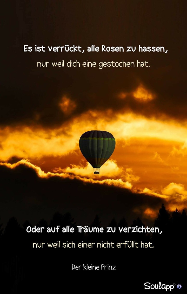 der kleine Prinz