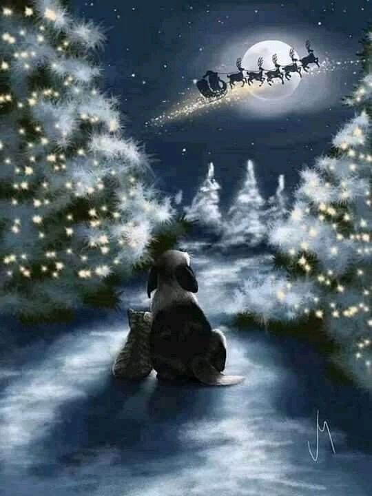 Merry Christmas
