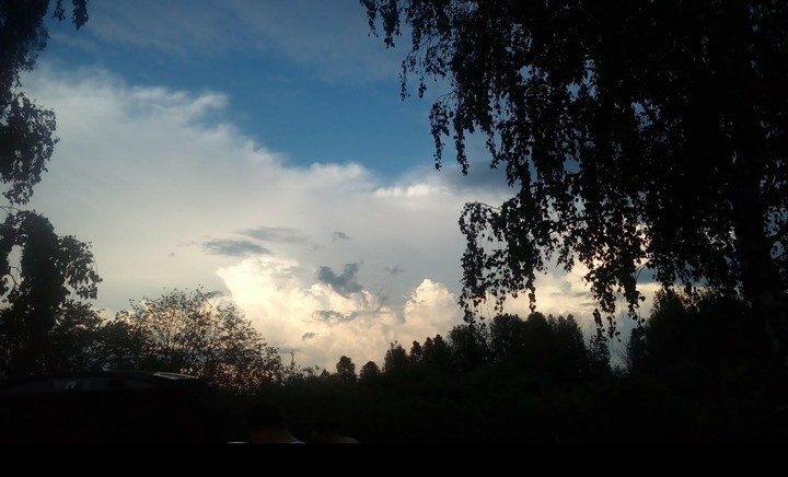 алабуга❤️